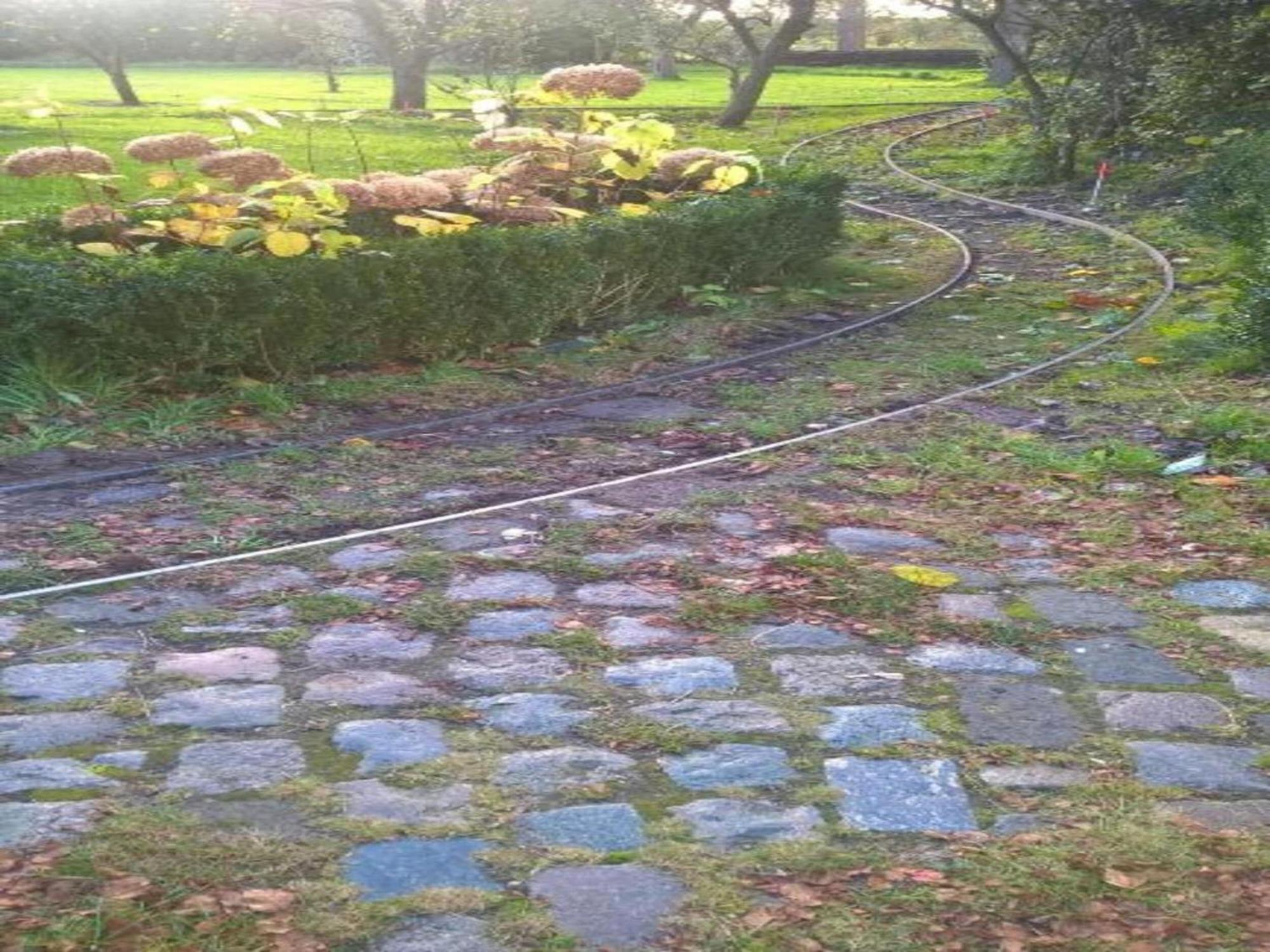 Monumental Farm In The Ash Landscape Villa Geesteren  Kültér fotó